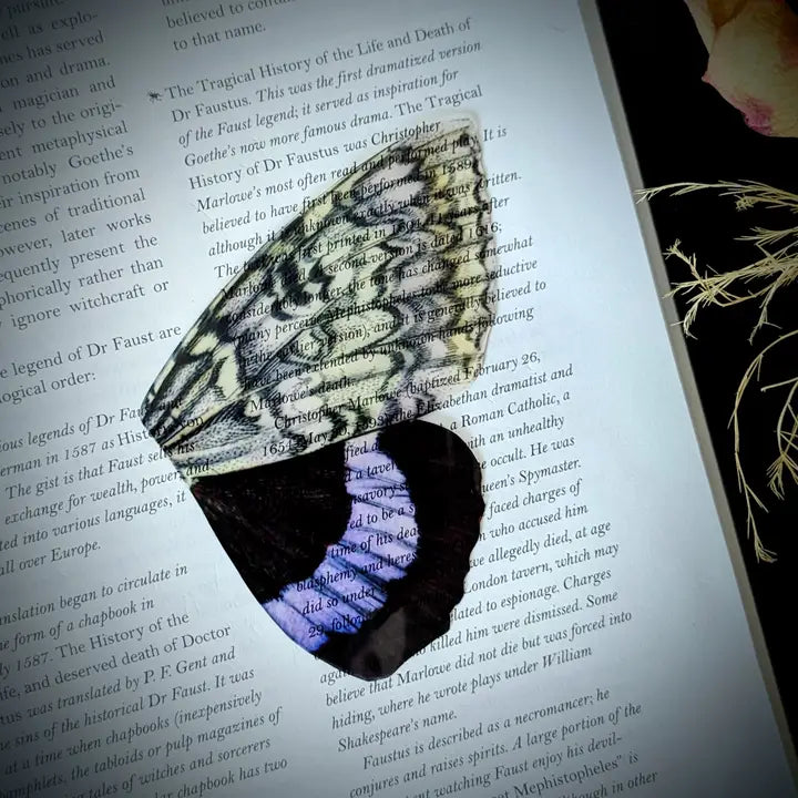 Lavender Moth - Bookmark